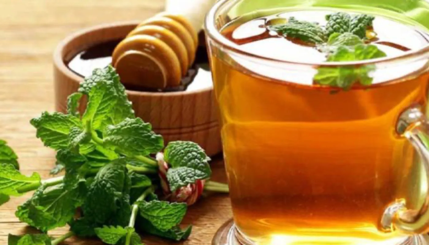 Nourish Yourself: 6 Sattvic Foods to Enhance Your Yogic Journey